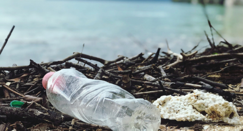 Plastica biodegradabile e compostabile: i vantaggi sociali di una scelta sostenibile